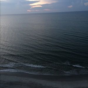 Meet your Posher, Audrey